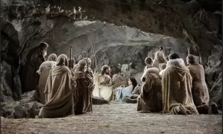 Maria, operosa custode della fede