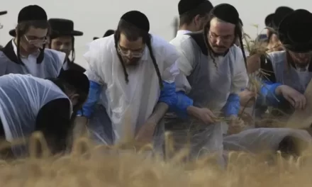 A Gerusalemme si moltiplica l’intolleranza verso i cristiani
