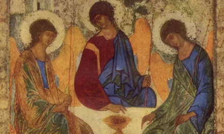 La Santissima Trinità rivela l’intima origine della Chiesa