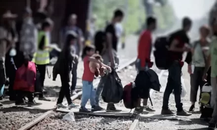 I movimenti migratori sono un fenomeno da studiare senza pregiudizi