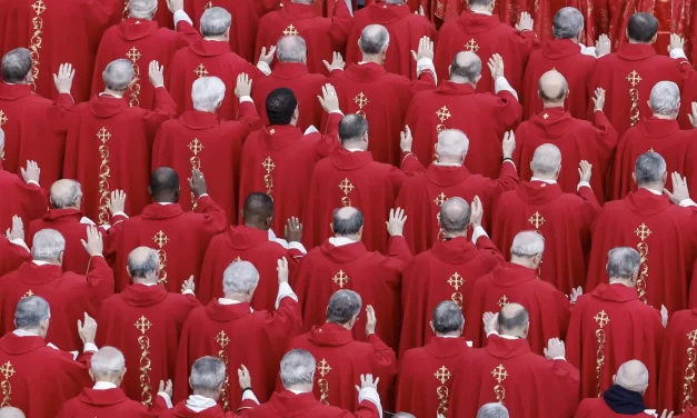 I nuovi cardinali inseriti nella sinfonia della sinodalità