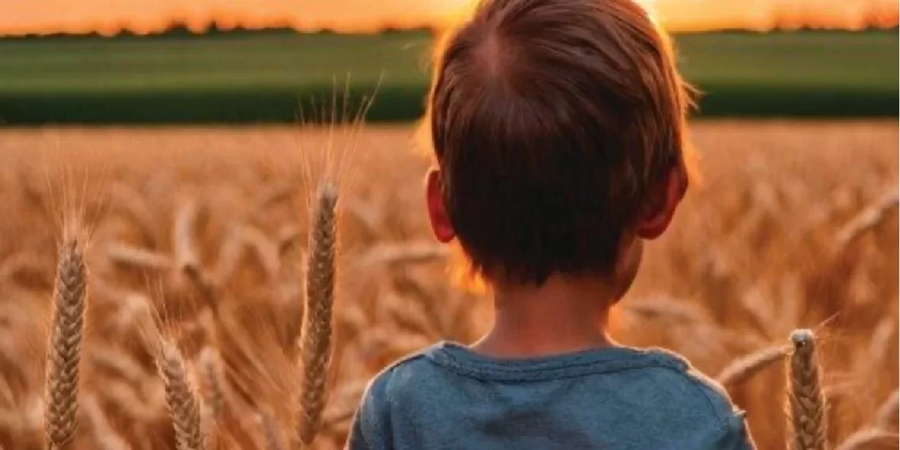 Un nuovo sguardo di umiltà vivente