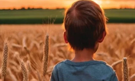 Un nuovo sguardo di umiltà vivente