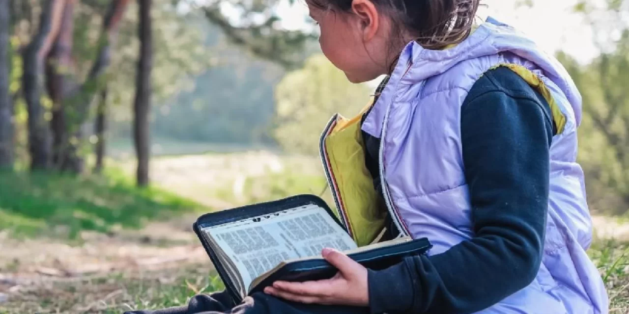 L’Ecologia Integrale come nuovo diritto vivente