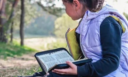 L’Ecologia Integrale come nuovo diritto vivente