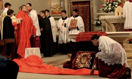 Polemiche sul “piatto cardinalizio” di Raymond Leo Burke