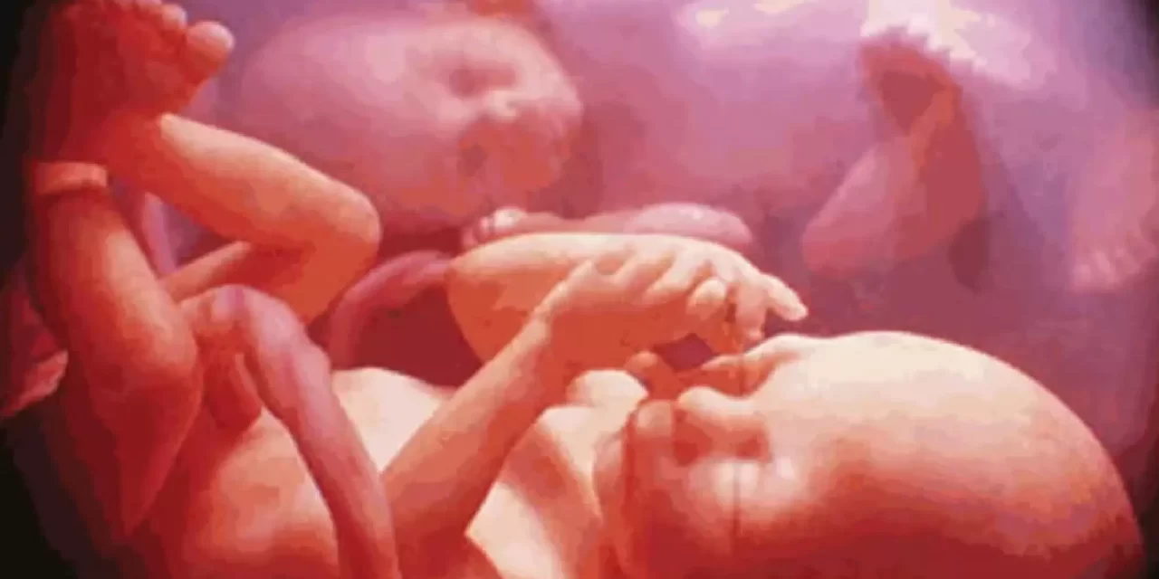 Il giudizio morale cristiano sulla fecondazione in vitro