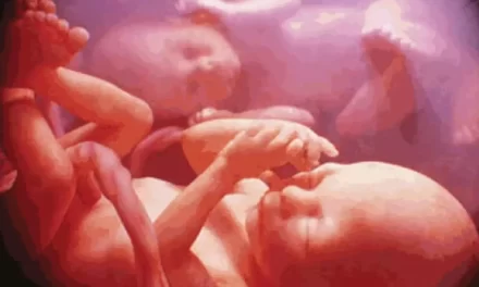 Il giudizio morale cristiano sulla fecondazione in vitro