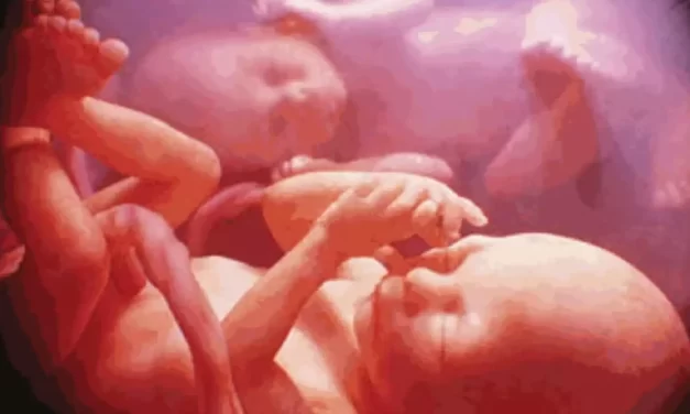 Il giudizio morale cristiano sulla fecondazione in vitro