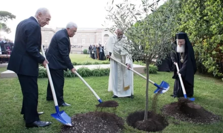 Il disinteresse di alcuni cattolici sulle questioni di ecologia e ambiente
