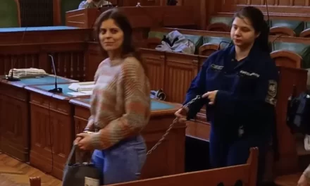 Ilaria Salis detenuta da Orban per un euroricatto