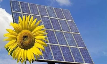 L’Italia si propone come hub energetico europeo grazie ai fondi UE
