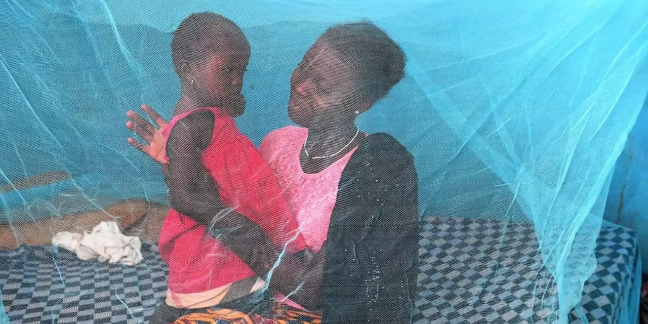 Giornata mondiale della malaria, prima causa di mortalità infantile in Africa