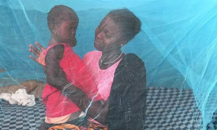 Giornata mondiale della malaria, prima causa di mortalità infantile in Africa