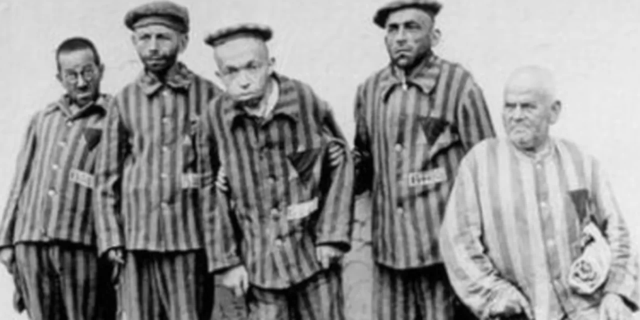 Il nazismo e le sue ombre