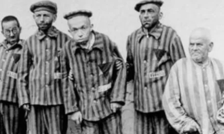 Il nazismo e le sue ombre