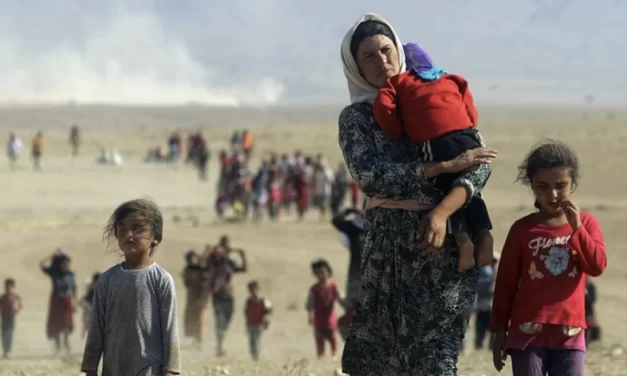Donne migranti nel Mediterraneo: storie di vulnerabilità e resistenza