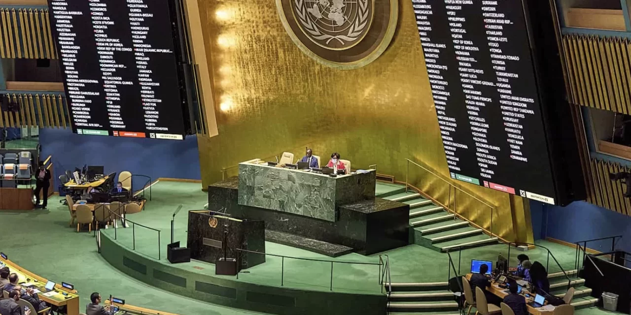 Il Summit sul Futuro e il ruolo della  Diplomazia delle culture 