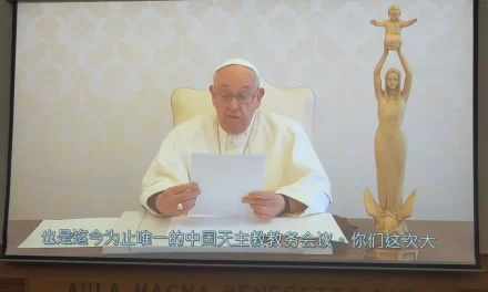 La fede custodita in Cina guida la via, afferma Papa Francesco