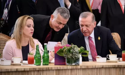 Erdogan invita anche l’Italia a riconoscere lo Stato della Palestina per un suo disegno strategico