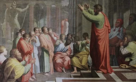 La bellezza della politica per il bene comune