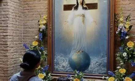 Le Apparizioni di Amsterdam: Un riferimento spirituale da correggere e accompagnare pastoralmente