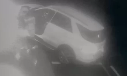 Donna insegue e uccide il borseggiatore con il SUV