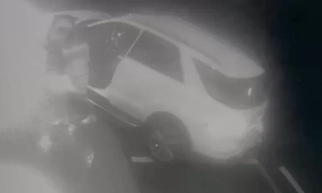 Donna insegue e uccide il borseggiatore con il SUV