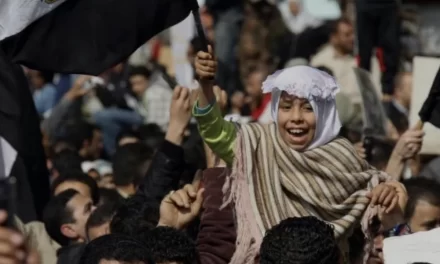 Il ruolo delle organizzazioni internazionali e della società civile nella rinascita del mondo arabo