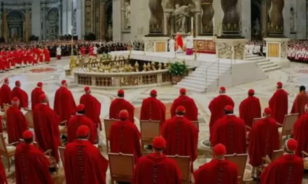 Il Papa annuncia la creazione di 21 nuovi cardinali