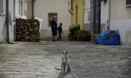 L’umanità sta entrando nell’era dello spopolamento