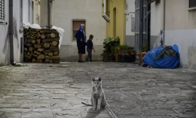 L’umanità sta entrando nell’era dello spopolamento