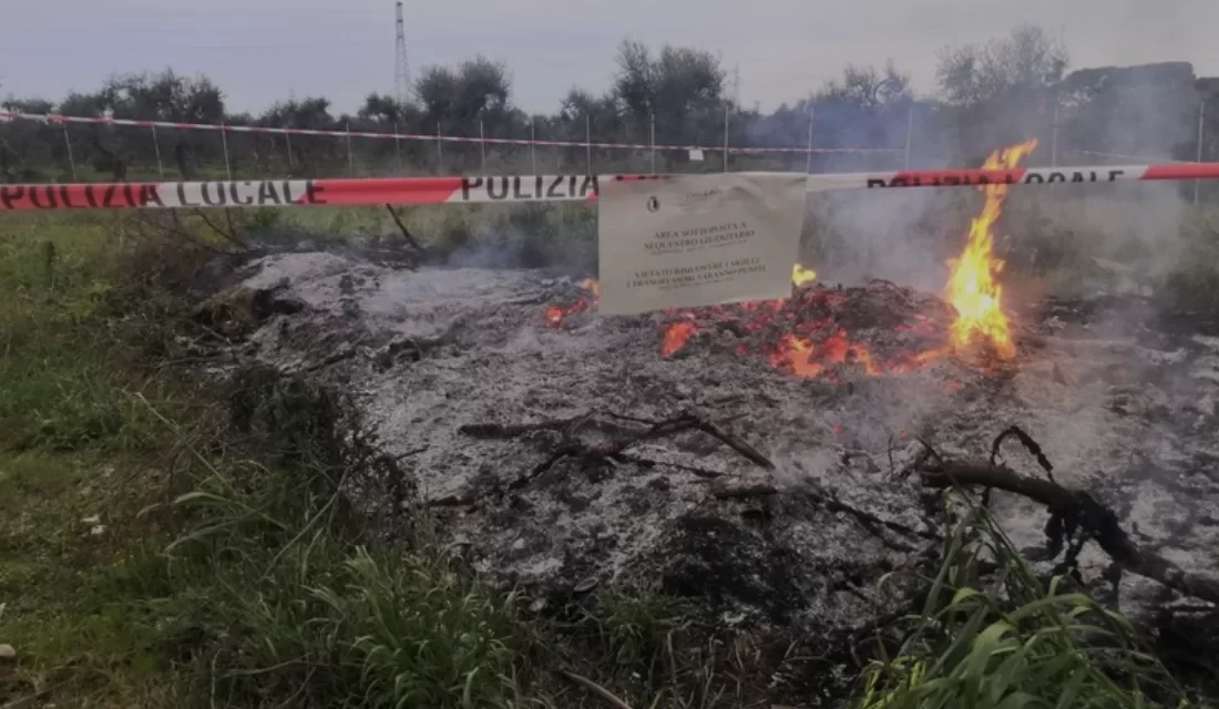 La Terra dei Fuochi: L’egoismo di una Camorra avida ed ignorante
