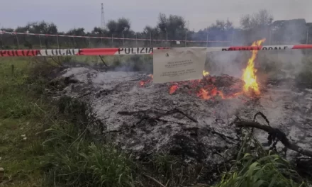 La Terra dei Fuochi: L’egoismo di una Camorra avida ed ignorante