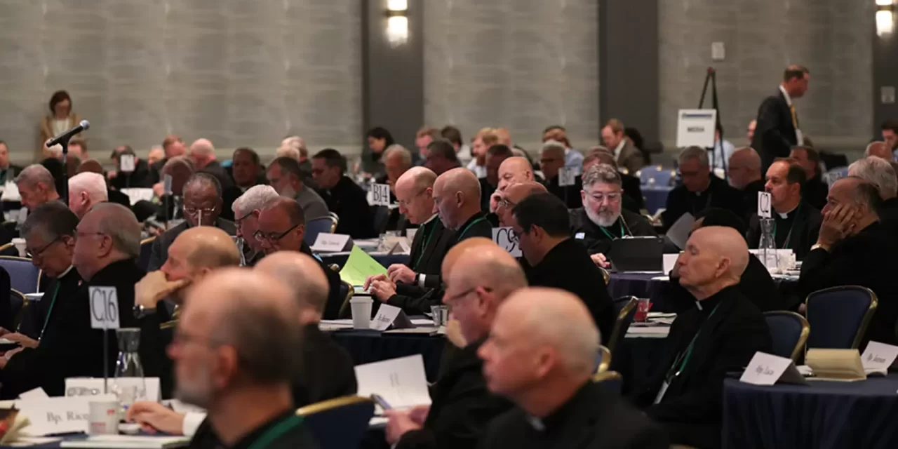 Nell’assemblea dei vescovi degli USA, gli ultraconservatori non sono stati votati