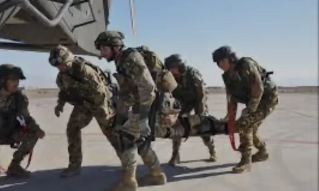 Il ruolo delle forze armate tra coscienza e legittimità