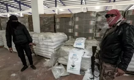 La famiglia Assad produceva e distribuiva amfetamine