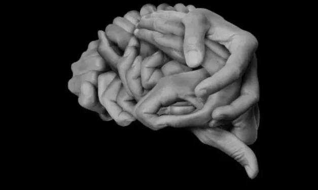 Enattivismo sensomotorio: Una nuova prospettiva sulla percezione visiva