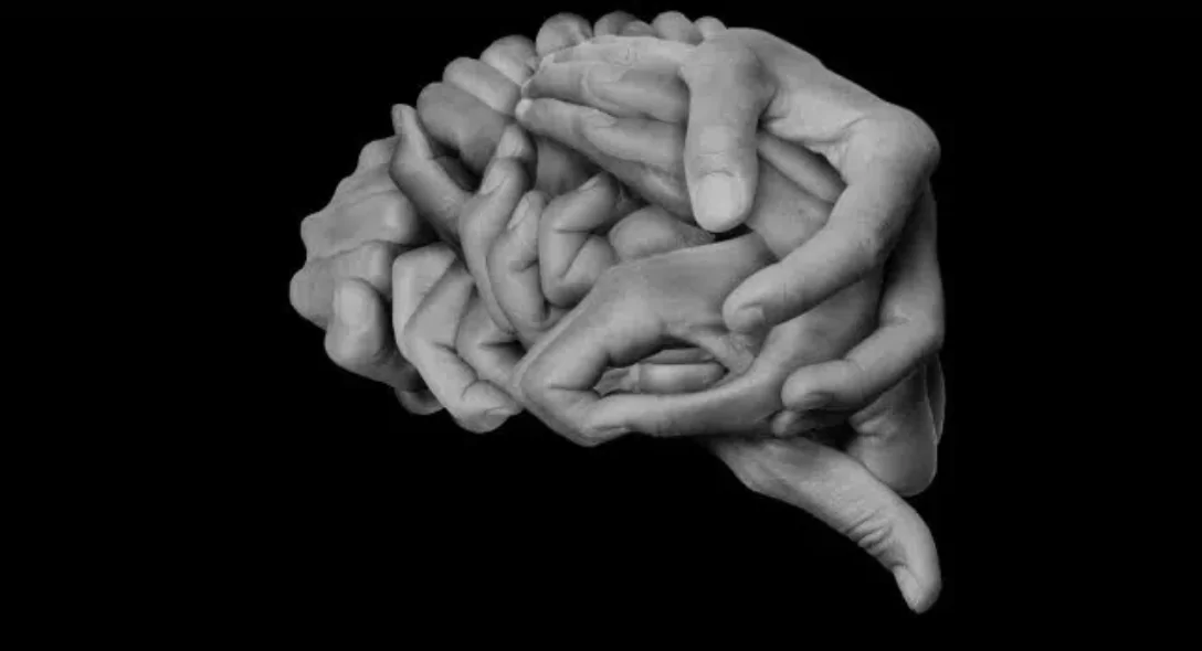 Enattivismo sensomotorio: Una nuova prospettiva sulla percezione visiva