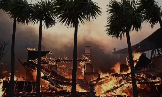 I recenti incendi in California: cause, polemiche politiche e questioni ambientali