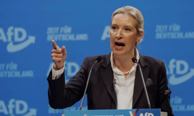 Social media e democrazia: quando gli algoritmi diventano un’arma politica