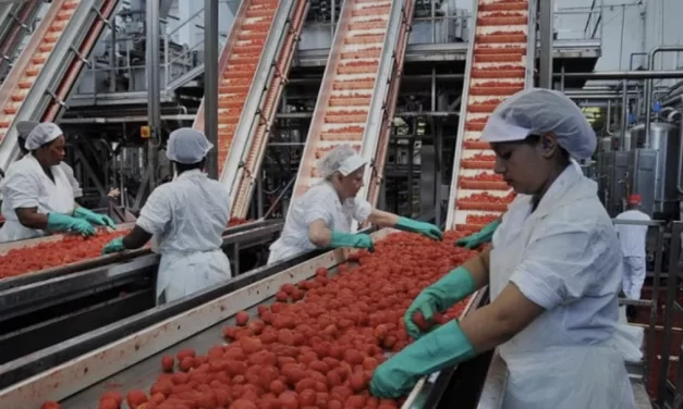 La contabilizzazione del costo reale nei sistemi agroalimentari