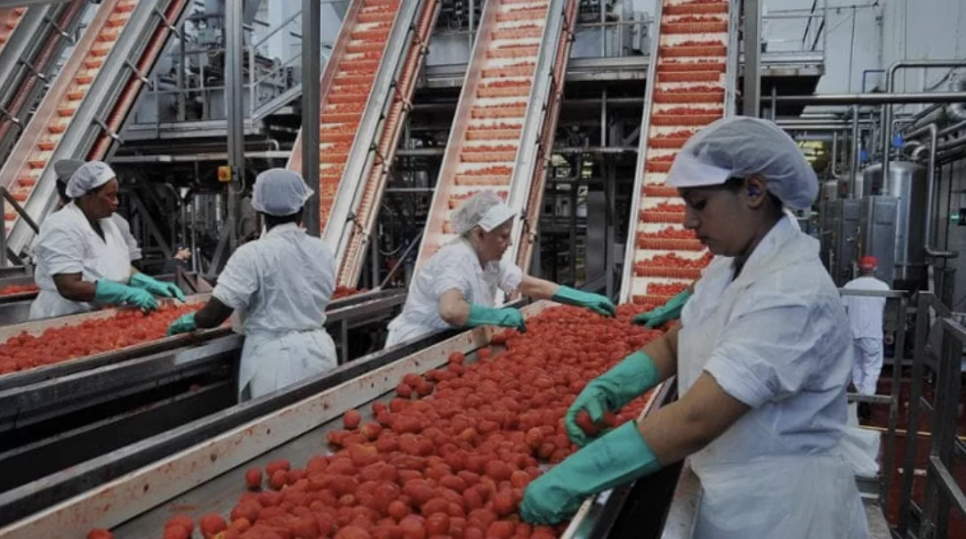 La contabilizzazione del costo reale nei sistemi agroalimentari