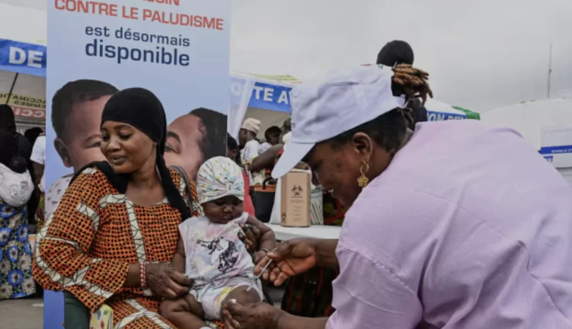 Zanzare geneticamente modificate: la nuova frontiera nella lotta alla malaria