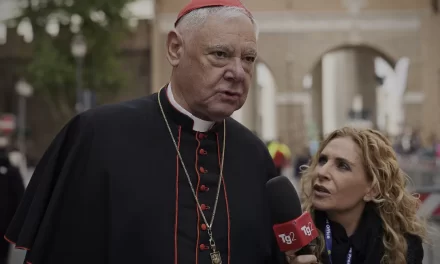 Il Cardinale Müller e l’eredità di Papa Francesco: una riflessione postuma