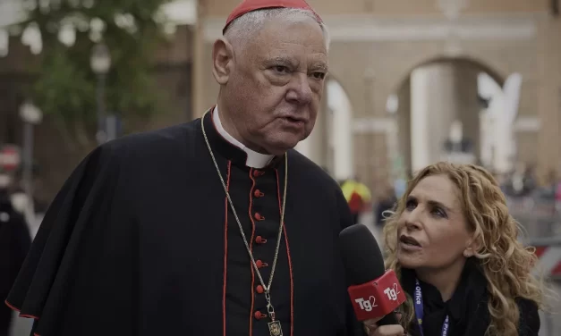 Il Cardinale Müller e l’eredità di Papa Francesco: una riflessione postuma