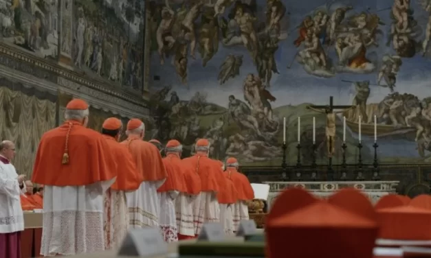 Le sfide ancora aperte per il successore di Papa Francesco