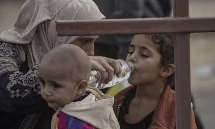 Gaza: «L’offesa del pane» nella guerra che spezza i corpi e l’anima