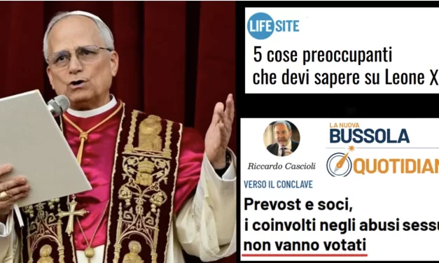 La macchina del fango contro Prevost è iniziata prima del Conclave