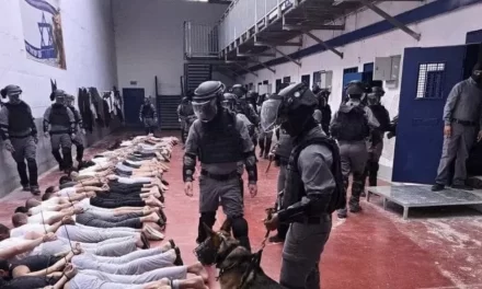 La carne viva del popolo di Gaza: scariche, insulti, violenze sessuali. E il mondo guarda altrove